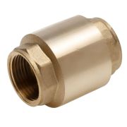 Клапан AQUALINK обратный с пластиковым сердечником с сеткой FF1 1/4 (60/5)