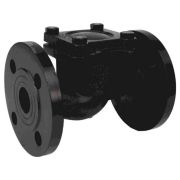 Клапан обр чуг подъем 16кч9нж Ду65 Ру25 фл д/чуг RMCX